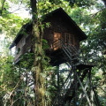 Permai Rainforest Resort