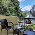 Arundina Cameron Highlands