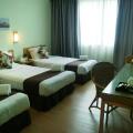 Tang Dynasty Park Hotel