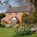 Image 14