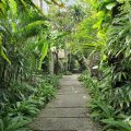 The Elysian Boutique Villa Hotel