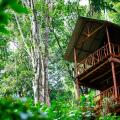Ella Eco Lodge