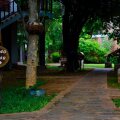 Camellia Resort And Spa