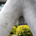 Image 30