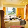 Single Tree Hotel