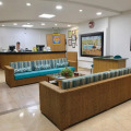 Image 15
