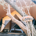 Tribe Yala - Luxury Camping