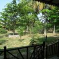 Coconut Island