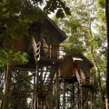 Permai Rainforest Resort