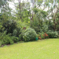 Image 39