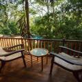 Jungle Village