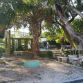 Image 15