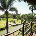 Mara River Safari Lodge Bali
