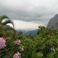 Tea Garden Holiday Inn