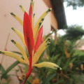 Chenang Inn