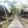 Bilit Rainforest Lodge
