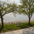 Image 16