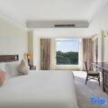 Golden Palm Resort