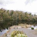 Image 28
