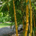 Sailing Club Resort Mui Ne