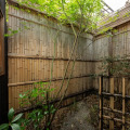 Image 14