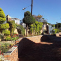 Image 15