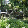 Image 12