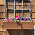 Image 20