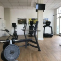 Image 15
