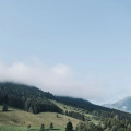 Image 14