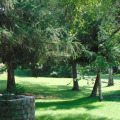 Image 39