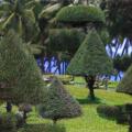 Sheraton Nha Trang Hotel & Spa