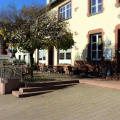 Image 14