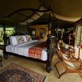 Madulkelle Tea And Eco Lodge