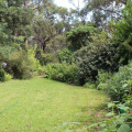 Image 37