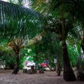 Harmony Beach Bungalows