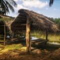 Coconut Island