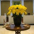 Yarra Ocean Suite Danang