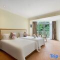 Golden Palm Resort