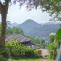 Villa Shenandoah