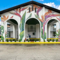 Image 10