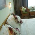 Tang Dynasty Park Hotel