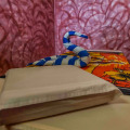 Image 22