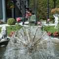 Image 15