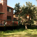 Image 30