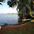 Image 9