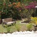 Image 14