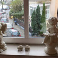 Image 22