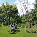 Image 17