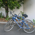 Image 17